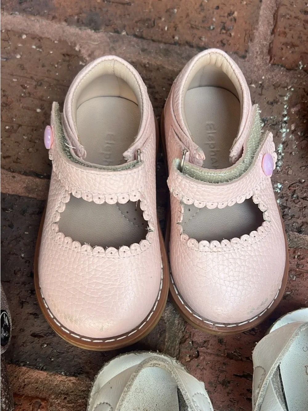 Elephantito Pink Leather Mary Janes with Scalloped Edge